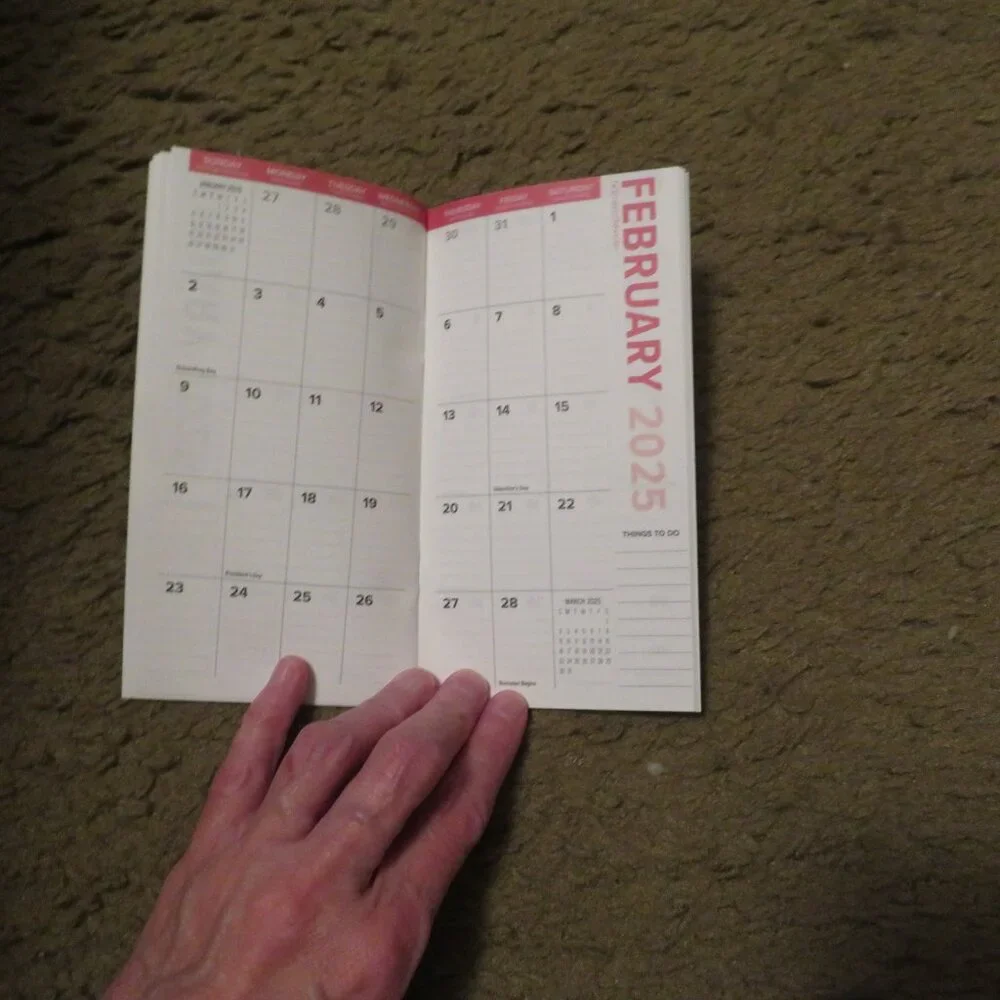 Willow Creek Cute as a KItten 2024-25 2 Year Calendar Planner 3 x 6 NEW